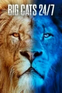 Большие кошки днём и ночью