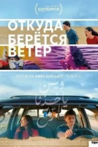 Откуда дует ветер