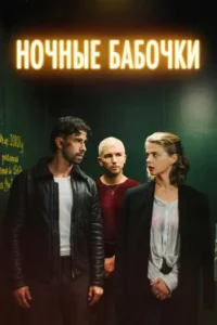 Ночные бабочки