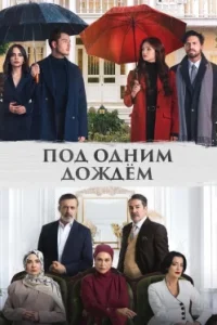 Под одним дождём
